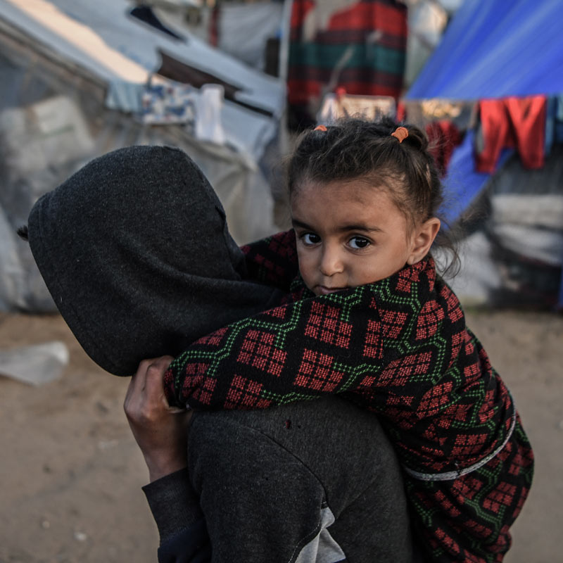 in fuga dalla guerra in fuga dalla guerra